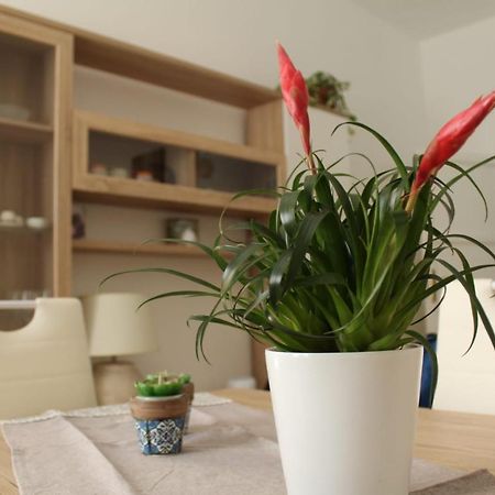 Ohana: Casa Nel Centro Di Lecce Ngoại thất bức ảnh