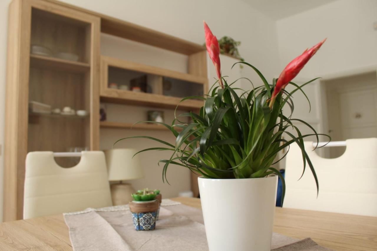 Ohana: Casa Nel Centro Di Lecce Ngoại thất bức ảnh